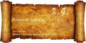Kosina Gyula névjegykártya