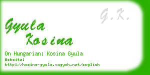 gyula kosina business card